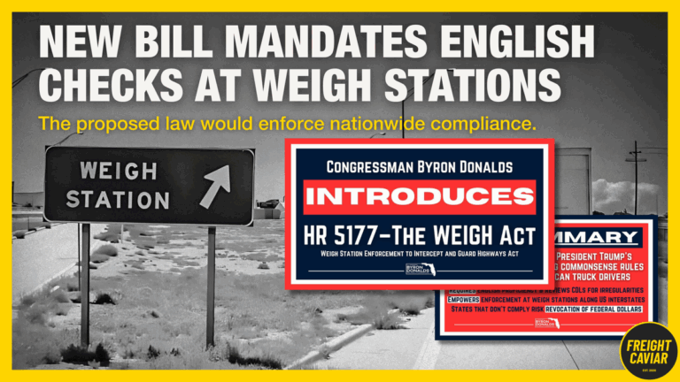 🎣 Weigh Station English Test