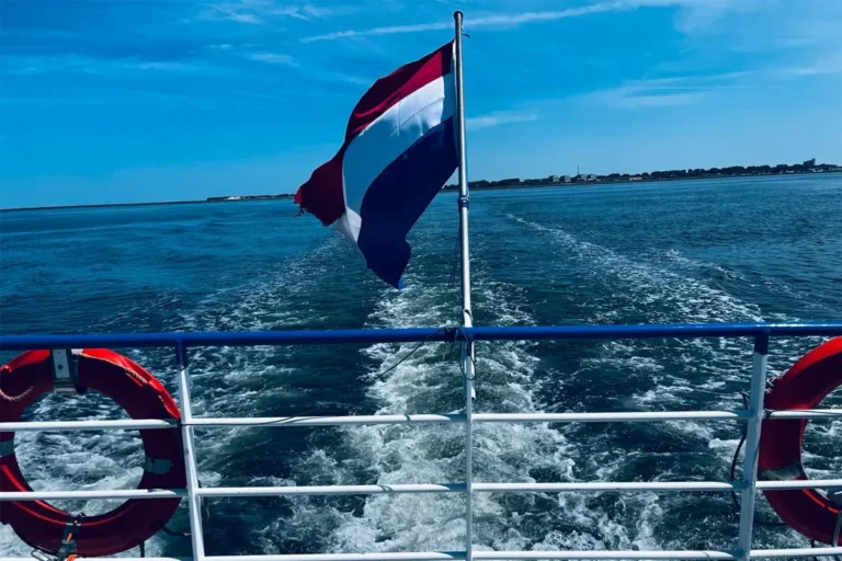 Another Feather in the Cap for MLETR: ICC Netherlands Calls for Acceleration